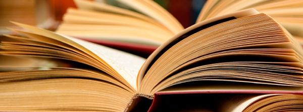 2025-05 2025 YILI DAMGA VERGİSİ TUTARLARI